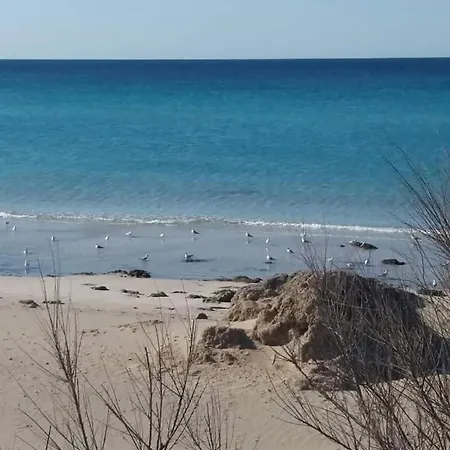 Baia - Casa Delle Magnolie Lejlighed Gallipoli