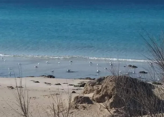 Baia - Casa Delle Magnolie Апартаменты Галлиполи